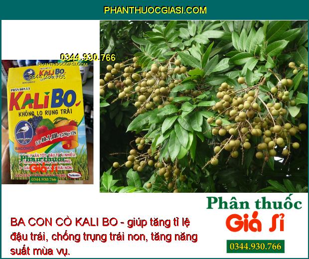 BA CON CÒ KALI BO - Tăng Đậu Trái - Giảm Rụng Hoa - Trái Non - Tăng Chất Lượng Trái