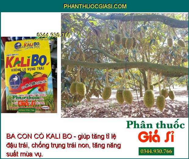 BA CON CÒ KALI BO - Tăng Đậu Trái - Giảm Rụng Hoa - Trái Non - Tăng Chất Lượng Trái