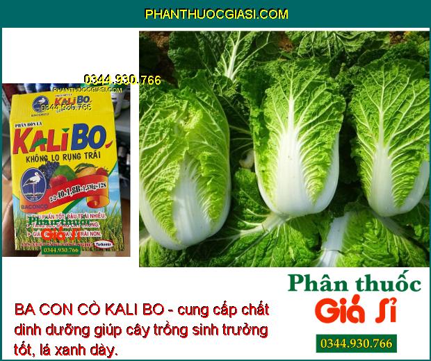 BA CON CÒ KALI BO - Tăng Đậu Trái - Giảm Rụng Hoa - Trái Non - Tăng Chất Lượng Trái