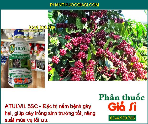 ATULVIL 5SC - Đặc Trị Khô Vằn - Lem Lép Hạt - Rỉ Sắt- Đốm Lá- Nấm Hồng- Phấn Trắng