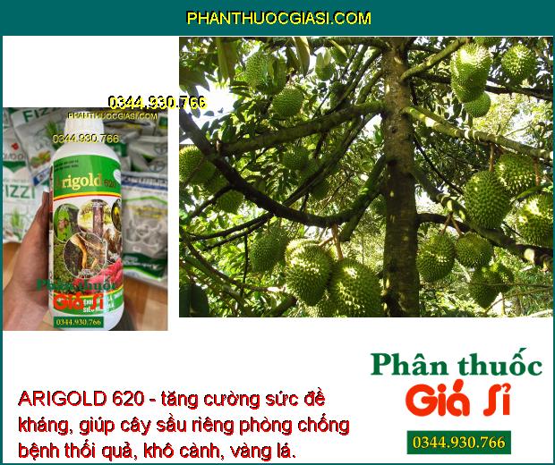 ARIGOLD 620 - Phòng Trừ Bệnh Vàng Lá - Thối Rễ - Xì Mủ - Nứt Thân - Ghẻ Sẹo - Xơ Đen