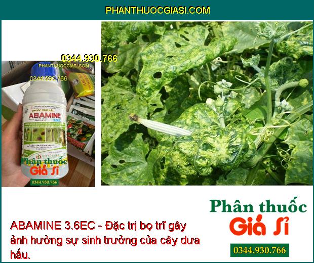 ABAMINE 3.6EC - Đặc Trị Sâu Cuốn Lá - Bọ Trĩ - Sâu Xanh - Bọ Xít Muỗi - Nhện Đỏ