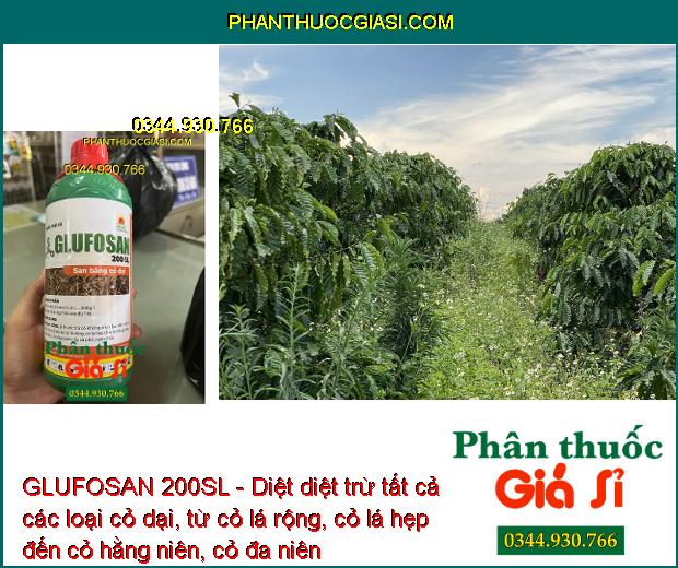 GLUFOSAN 200SL - Diệt Tất Cả Các Loại Cỏ Dại - Cỏ Lá Rộng - Cỏ Lá Hẹp - Cỏ Hằng Niên