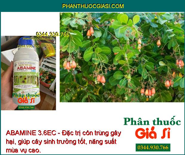 ABAMINE 3.6EC - Đặc Trị Sâu Cuốn Lá - Bọ Trĩ - Sâu Xanh - Bọ Xít Muỗi - Nhện Đỏ