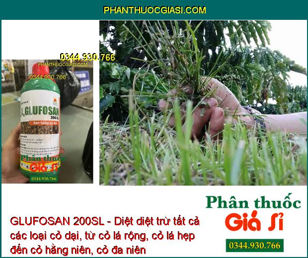 GLUFOSAN 200SL - Diệt Tất Cả Các Loại Cỏ Dại - Cỏ Lá Rộng - Cỏ Lá Hẹp - Cỏ Hằng Niên