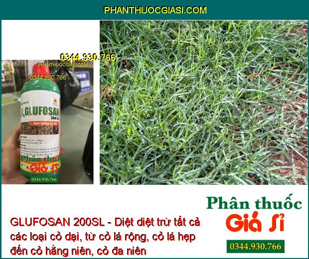 GLUFOSAN 200SL - Diệt Tất Cả Các Loại Cỏ Dại - Cỏ Lá Rộng - Cỏ Lá Hẹp - Cỏ Hằng Niên