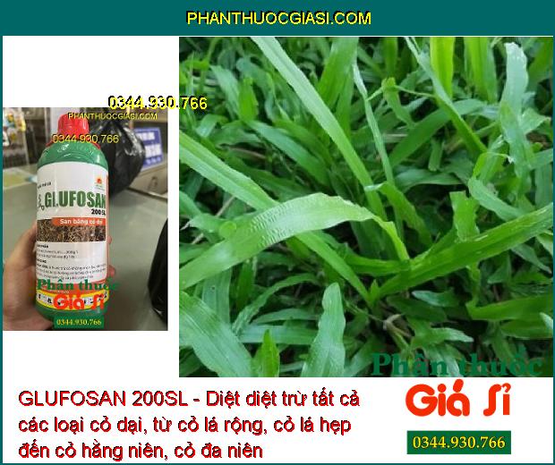 GLUFOSAN 200SL - Diệt Tất Cả Các Loại Cỏ Dại - Cỏ Lá Rộng - Cỏ Lá Hẹp - Cỏ Hằng Niên