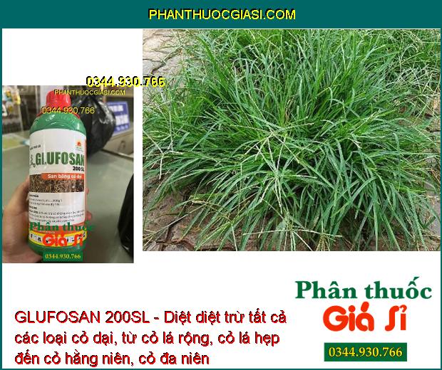 GLUFOSAN 200SL - Diệt Tất Cả Các Loại Cỏ Dại - Cỏ Lá Rộng - Cỏ Lá Hẹp - Cỏ Hằng Niên