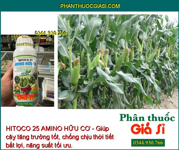 HITOCO 25 AMINO HỮU CƠ - Trái Lớn Nhanh - Màu Trái Đẹp - Tăng Hương Vị - Ngăn Rụng Trái