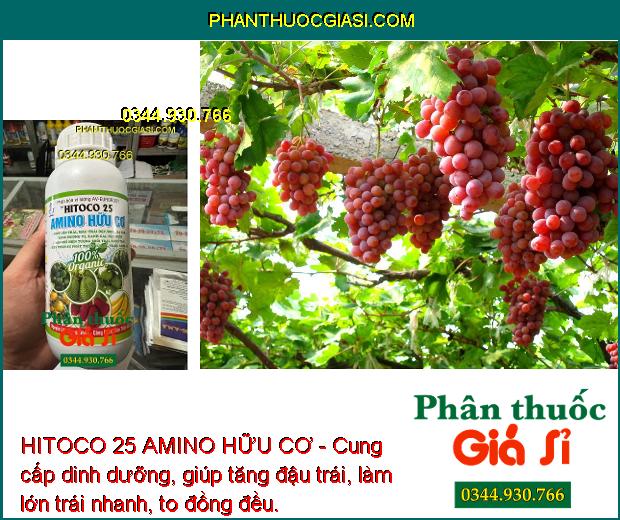 HITOCO 25 AMINO HỮU CƠ - Trái Lớn Nhanh - Màu Trái Đẹp - Tăng Hương Vị - Ngăn Rụng Trái