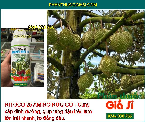 HITOCO 25 AMINO HỮU CƠ - Trái Lớn Nhanh - Màu Trái Đẹp - Tăng Hương Vị - Ngăn Rụng Trái