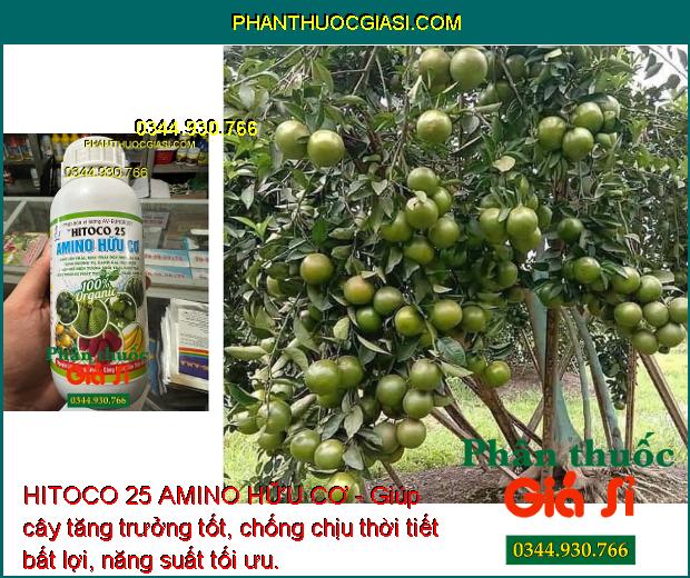 HITOCO 25 AMINO HỮU CƠ - Trái Lớn Nhanh - Màu Trái Đẹp - Tăng Hương Vị - Ngăn Rụng Trái