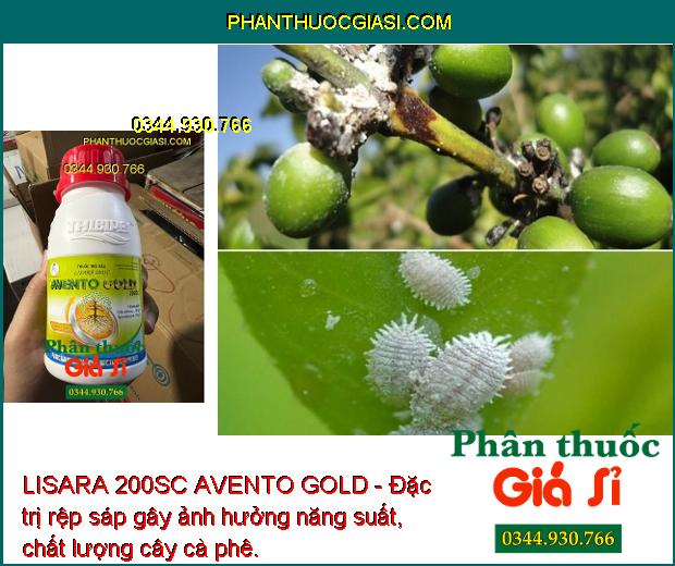 LISARA 200SC AVENTO GOLD - Đặc Trị Rệp Sáp - Bọ Trĩ - Sâu Tơ - Sâu Xanh - Rầy Nâu