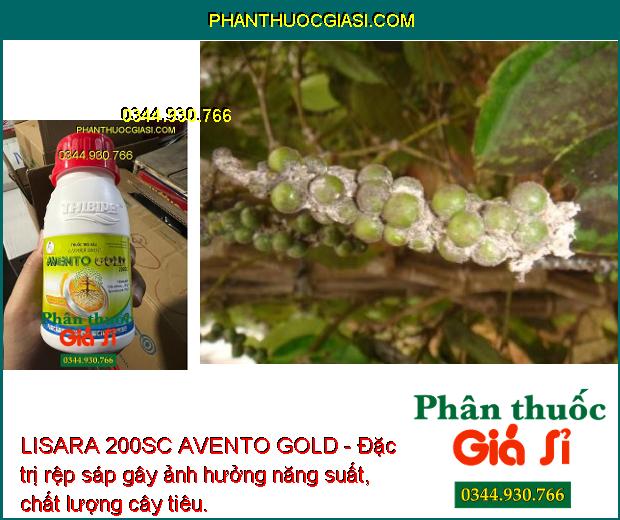 LISARA 200SC AVENTO GOLD - Đặc Trị Rệp Sáp - Bọ Trĩ - Sâu Tơ - Sâu Xanh - Rầy Nâu