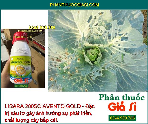 LISARA 200SC AVENTO GOLD - Đặc Trị Rệp Sáp - Bọ Trĩ - Sâu Tơ - Sâu Xanh - Rầy Nâu