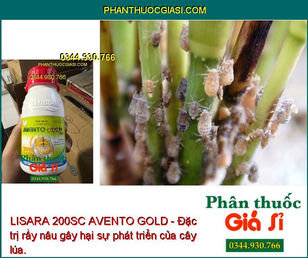 LISARA 200SC AVENTO GOLD - Đặc Trị Rệp Sáp - Bọ Trĩ - Sâu Tơ - Sâu Xanh - Rầy Nâu