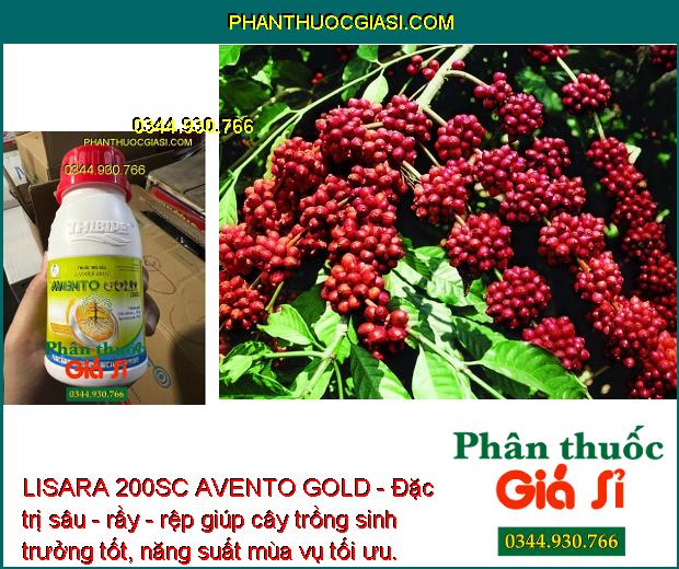 LISARA 200SC AVENTO GOLD - Đặc Trị Rệp Sáp - Bọ Trĩ - Sâu Tơ - Sâu Xanh - Rầy Nâu