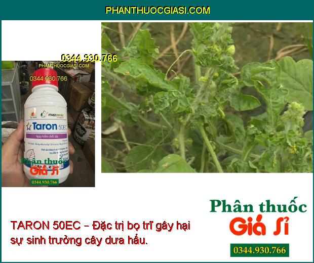 TARON 50EC – Đặc Trị Bọ Trĩ - Sâu Xanh Da Láng - Rệp Sáp - Sâu Đục Ngọn - Bọ Xít