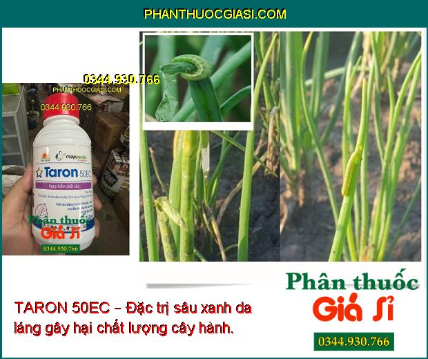 TARON 50EC – Đặc Trị Bọ Trĩ - Sâu Xanh Da Láng - Rệp Sáp - Sâu Đục Ngọn - Bọ Xít