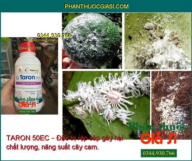 TARON 50EC – Đặc Trị Bọ Trĩ - Sâu Xanh Da Láng - Rệp Sáp - Sâu Đục Ngọn - Bọ Xít