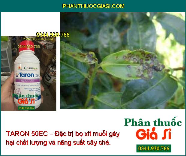 TARON 50EC – Đặc Trị Bọ Trĩ - Sâu Xanh Da Láng - Rệp Sáp - Sâu Đục Ngọn - Bọ Xít