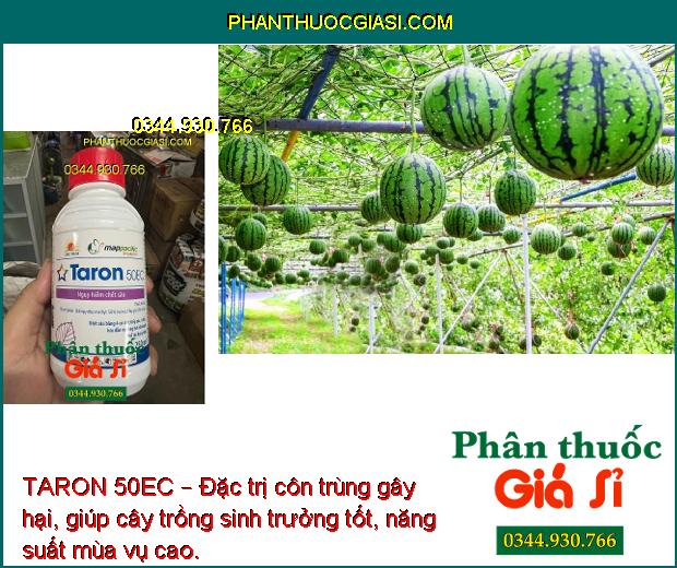 TARON 50EC – Đặc Trị Bọ Trĩ - Sâu Xanh Da Láng - Rệp Sáp - Sâu Đục Ngọn - Bọ Xít