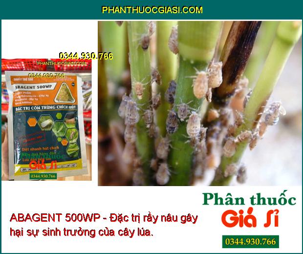 ABAGENT 500WP - Đặc Trị Sâu Cuốn Lá - Sâu Đục Thân - Rầy Nâu - Bọ Trĩ - Nhện Đỏ