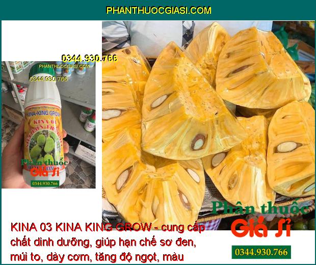 KINA 03 KINA KING GROW - Lớn Trái - Chắc Hạt - Dày Cơm - Màu Vàng Đẹp