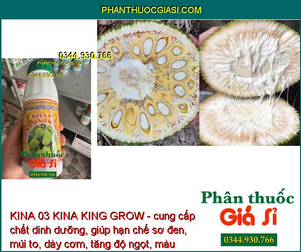 KINA 03 KINA KING GROW - Lớn Trái - Chắc Hạt - Dày Cơm - Màu Vàng Đẹp