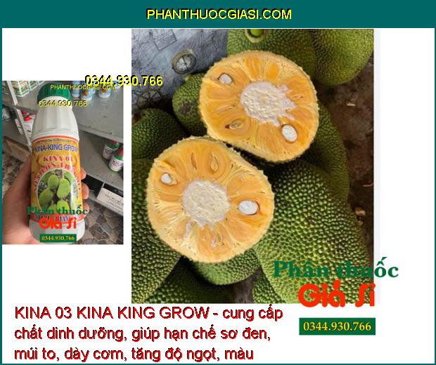 KINA 03 KINA KING GROW - Lớn Trái - Chắc Hạt - Dày Cơm - Màu Vàng Đẹp