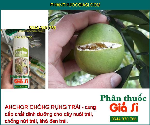 ANCHOR CHỐNG RỤNG TRÁI - Tăng Đậu Trái - Chống Nứt Trái - Khô Đen Trái