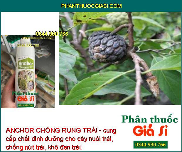 ANCHOR CHỐNG RỤNG TRÁI - Tăng Đậu Trái - Chống Nứt Trái - Khô Đen Trái