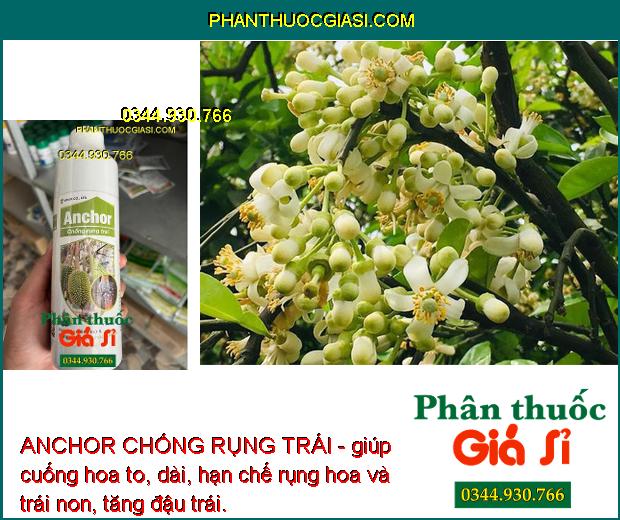 ANCHOR CHỐNG RỤNG TRÁI - Tăng Đậu Trái - Chống Nứt Trái - Khô Đen Trái