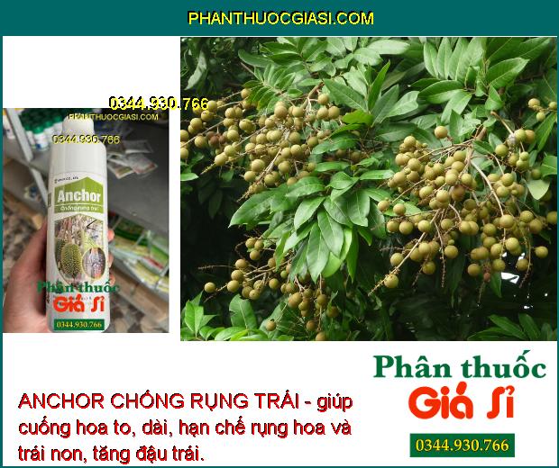 ANCHOR CHỐNG RỤNG TRÁI - Tăng Đậu Trái - Chống Nứt Trái - Khô Đen Trái