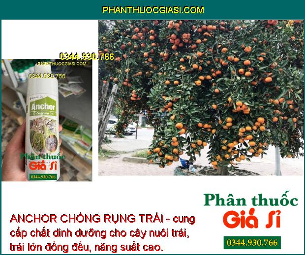 ANCHOR CHỐNG RỤNG TRÁI - Tăng Đậu Trái - Chống Nứt Trái - Khô Đen Trái