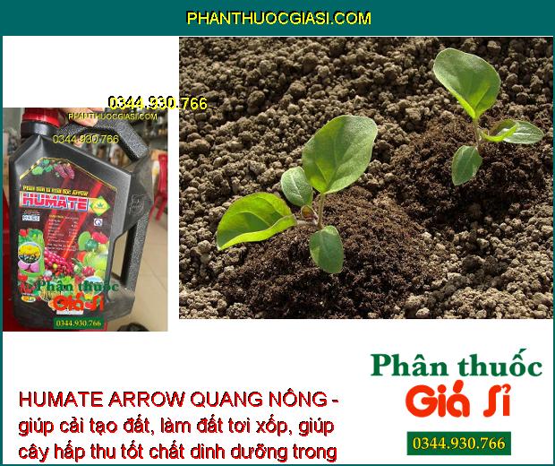 HUMATE ARROW QUANG NÔNG - Cải Tạo Đất - Giúp Rễ Phát Triển Mạnh - Tăng Hấp Thụ Dinh Dưỡng