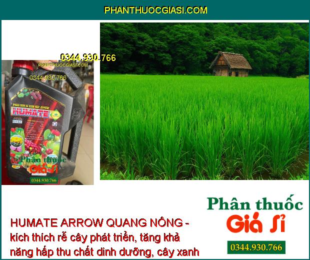 HUMATE ARROW QUANG NÔNG - Cải Tạo Đất - Giúp Rễ Phát Triển Mạnh - Tăng Hấp Thụ Dinh Dưỡng