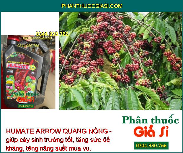 HUMATE ARROW QUANG NÔNG - Cải Tạo Đất - Giúp Rễ Phát Triển Mạnh - Tăng Hấp Thụ Dinh Dưỡng