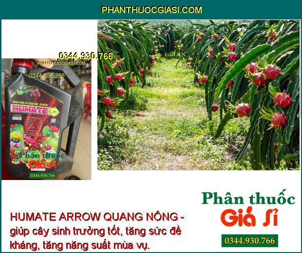 HUMATE ARROW QUANG NÔNG - Cải Tạo Đất - Giúp Rễ Phát Triển Mạnh - Tăng Hấp Thụ Dinh Dưỡng