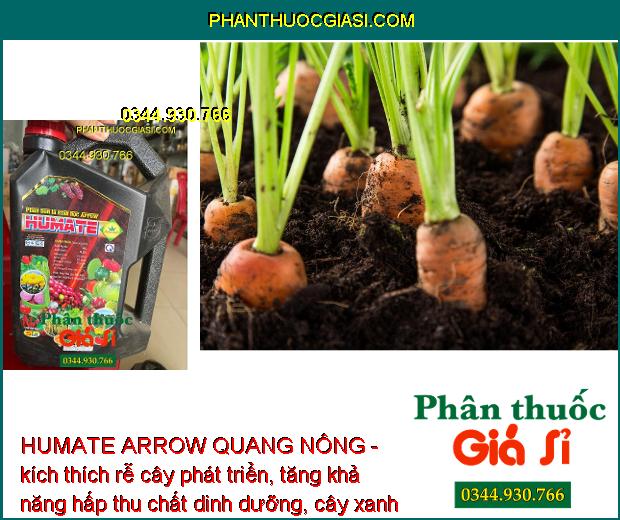 HUMATE ARROW QUANG NÔNG - Cải Tạo Đất - Giúp Rễ Phát Triển Mạnh - Tăng Hấp Thụ Dinh Dưỡng