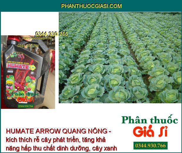 HUMATE ARROW QUANG NÔNG - Cải Tạo Đất - Giúp Rễ Phát Triển Mạnh - Tăng Hấp Thụ Dinh Dưỡng