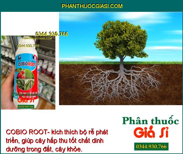 COBIO ROOT- Kích Rễ Phát Triển - Phục Hồi Rễ Cây 