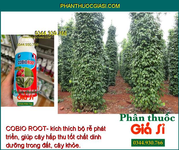 COBIO ROOT- Kích Rễ Phát Triển - Phục Hồi Rễ Cây 