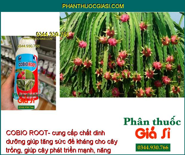 COBIO ROOT- Kích Rễ Phát Triển - Phục Hồi Rễ Cây 