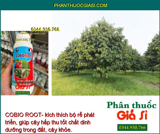 COBIO ROOT- Kích Rễ Phát Triển - Phục Hồi Rễ Cây 