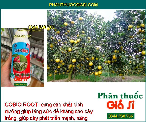 COBIO ROOT- Kích Rễ Phát Triển - Phục Hồi Rễ Cây 