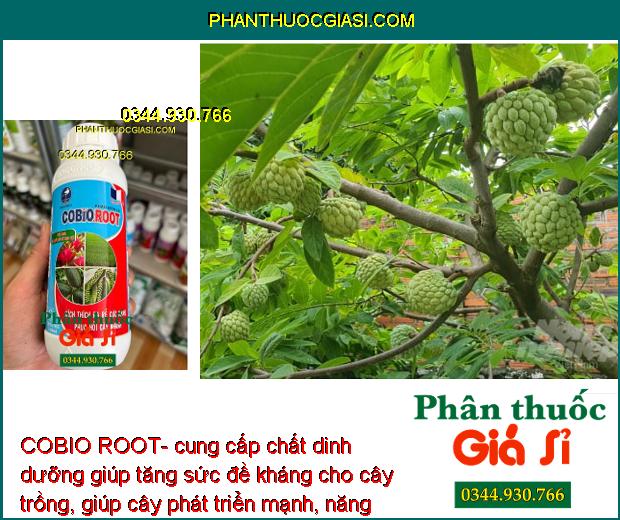 COBIO ROOT- Kích Rễ Phát Triển - Phục Hồi Rễ Cây 