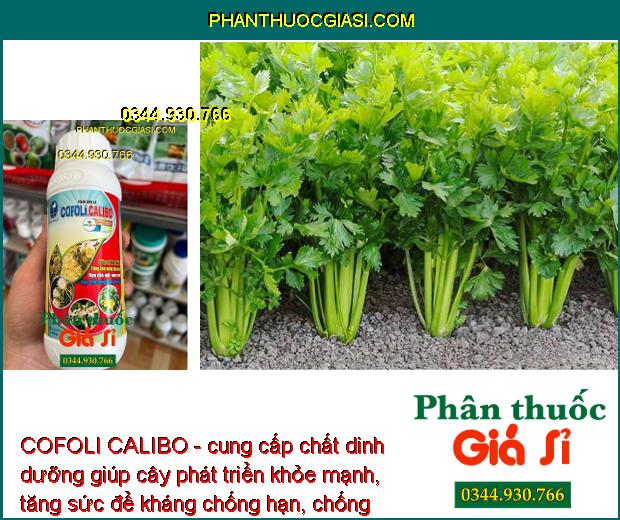 COFOLI CALIBO - Kích Ra Hoa - Tăng Đậu Trái - Hạn Chế Nứt Trái - Rụng Hoa