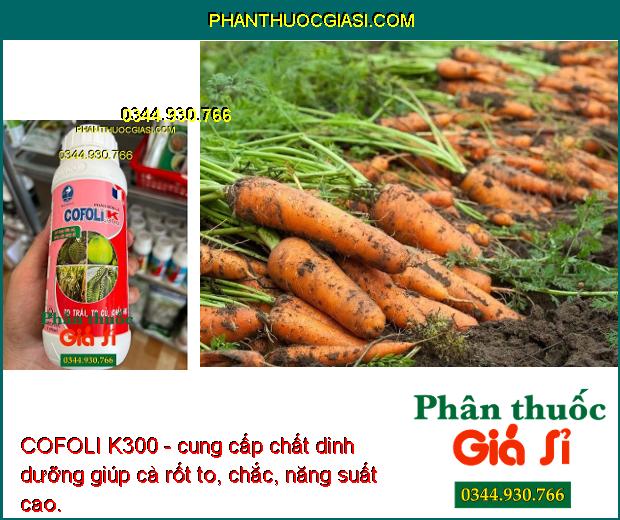 COFOLI K300 - To Trái- To Củ - Cứng Cây- Tăng Đề Kháng - Chống Đổ Ngã