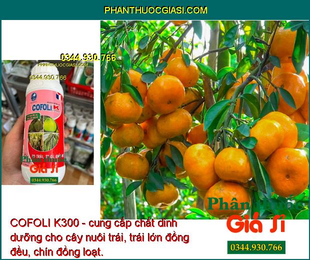 COFOLI K300 - To Trái- To Củ - Cứng Cây- Tăng Đề Kháng - Chống Đổ Ngã